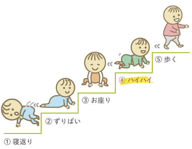 ハイハイ