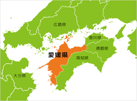 弾丸日程