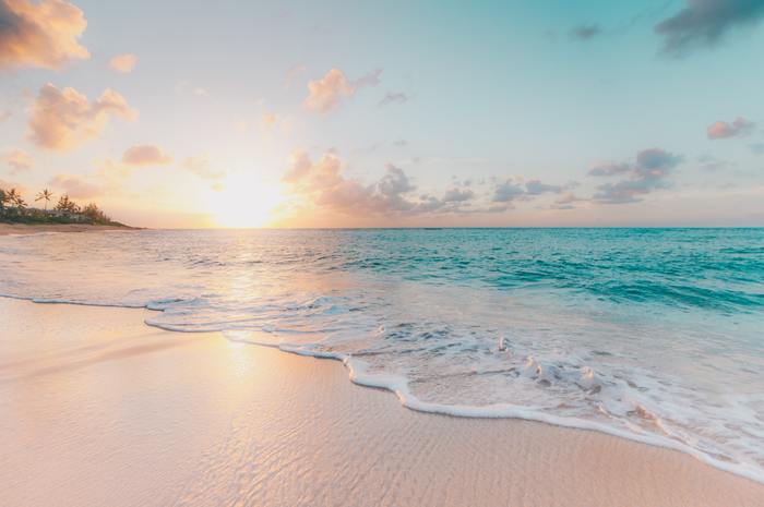 夏