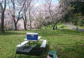 お花見BBQ