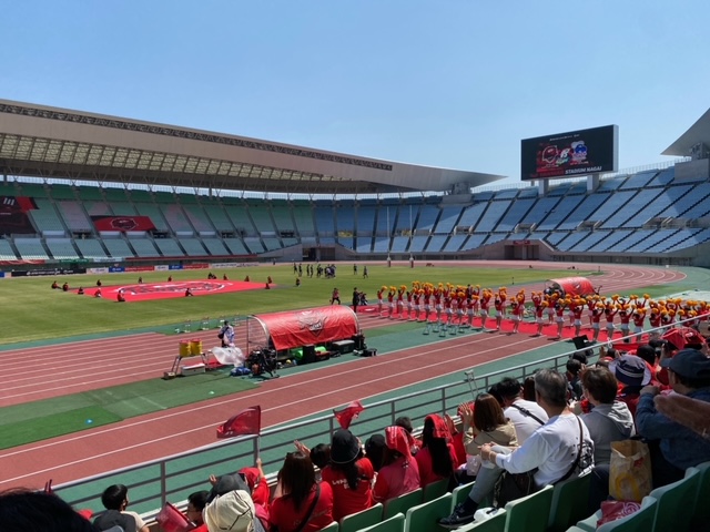 観戦日和