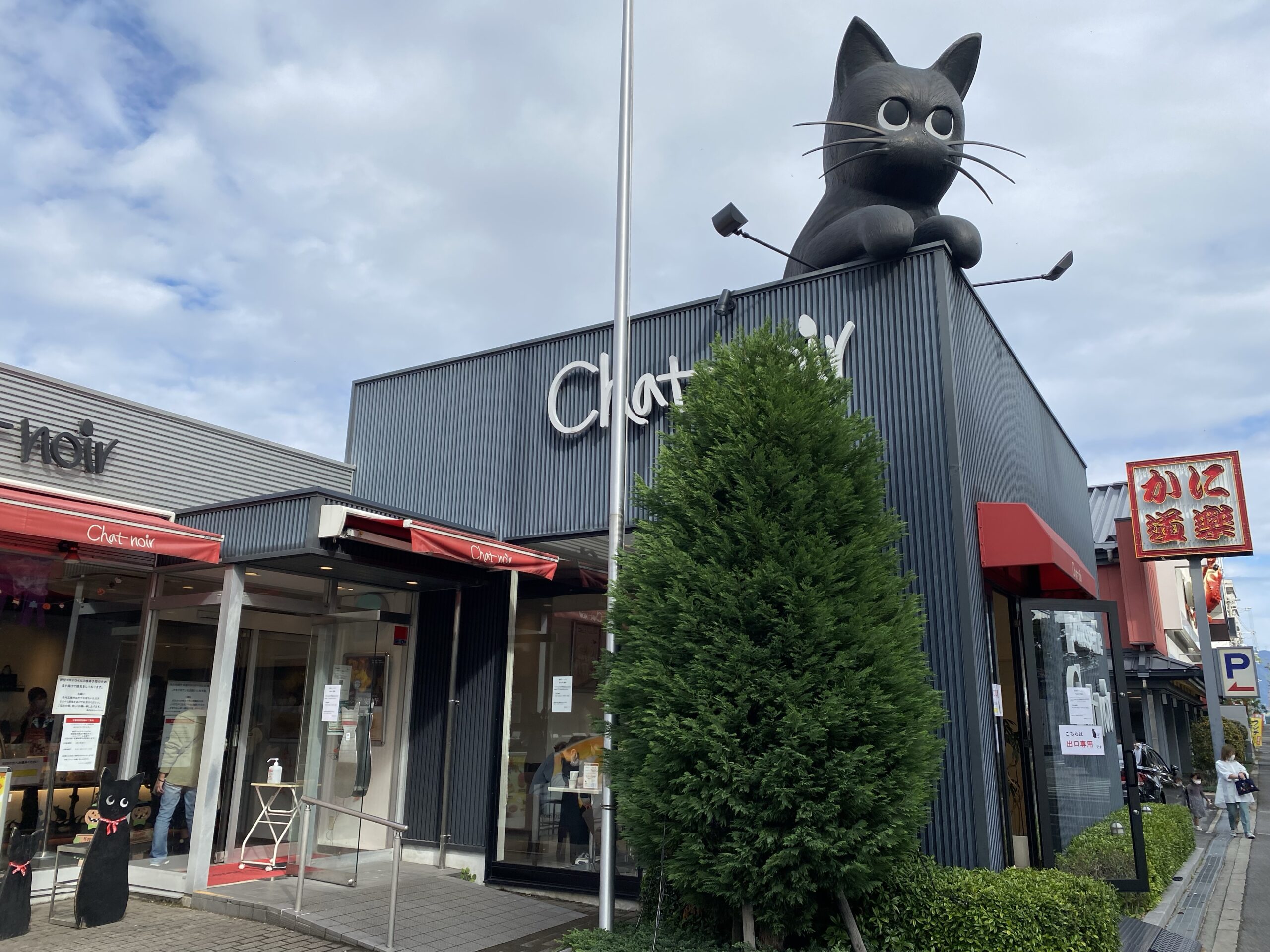 黒猫