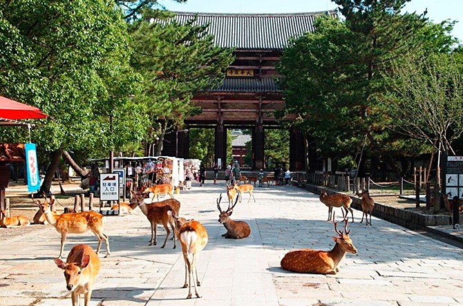 奈良観光