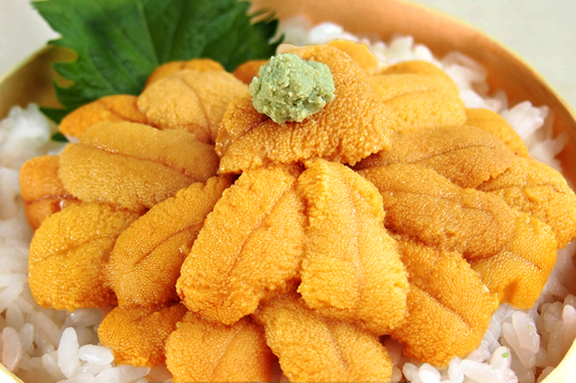 自由の身