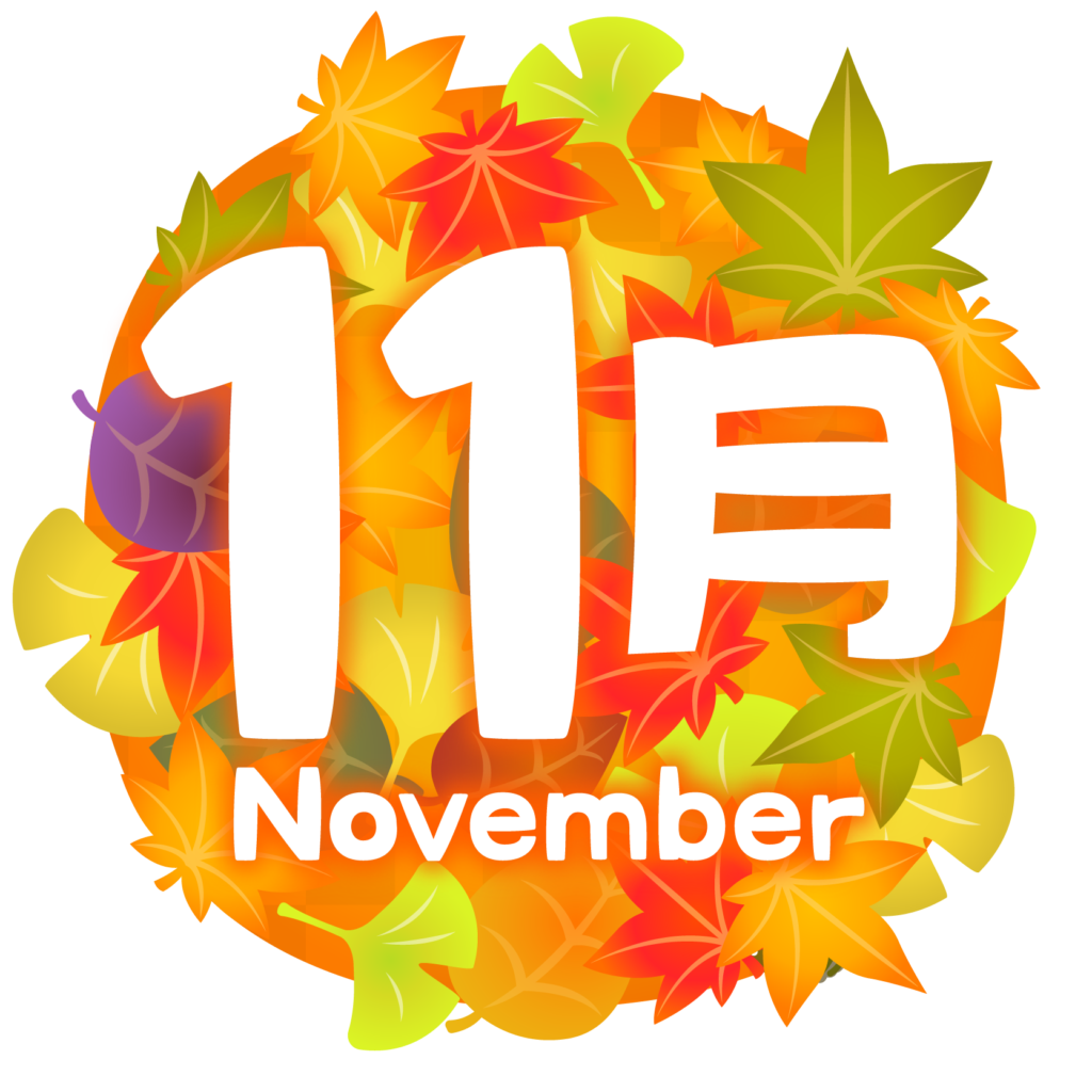 11月