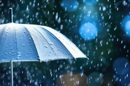 雨