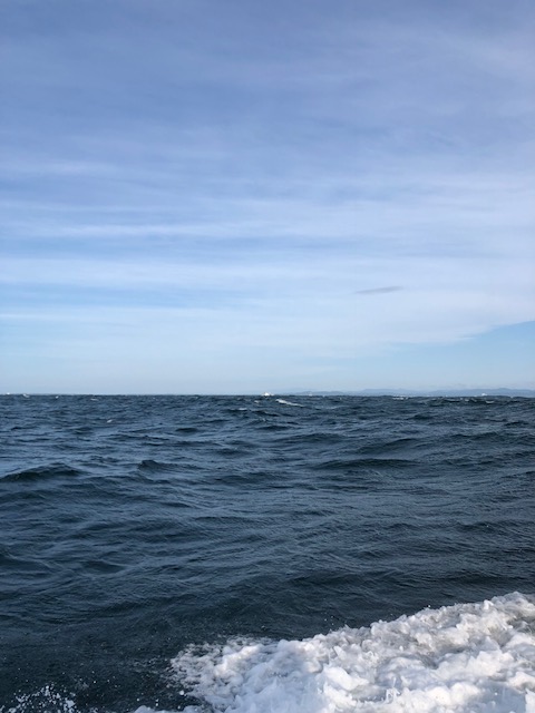 海が呼んでいる~名古屋から行く船釣りの旅~ 海が呼んでいる~名古屋から行く船釣りの旅~