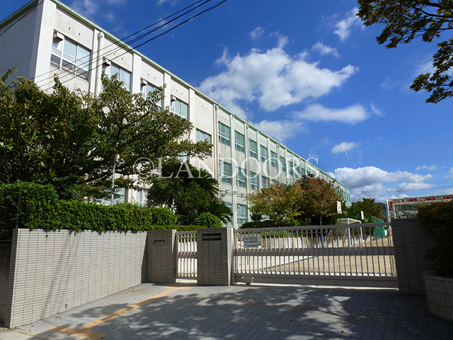 landoors co jp