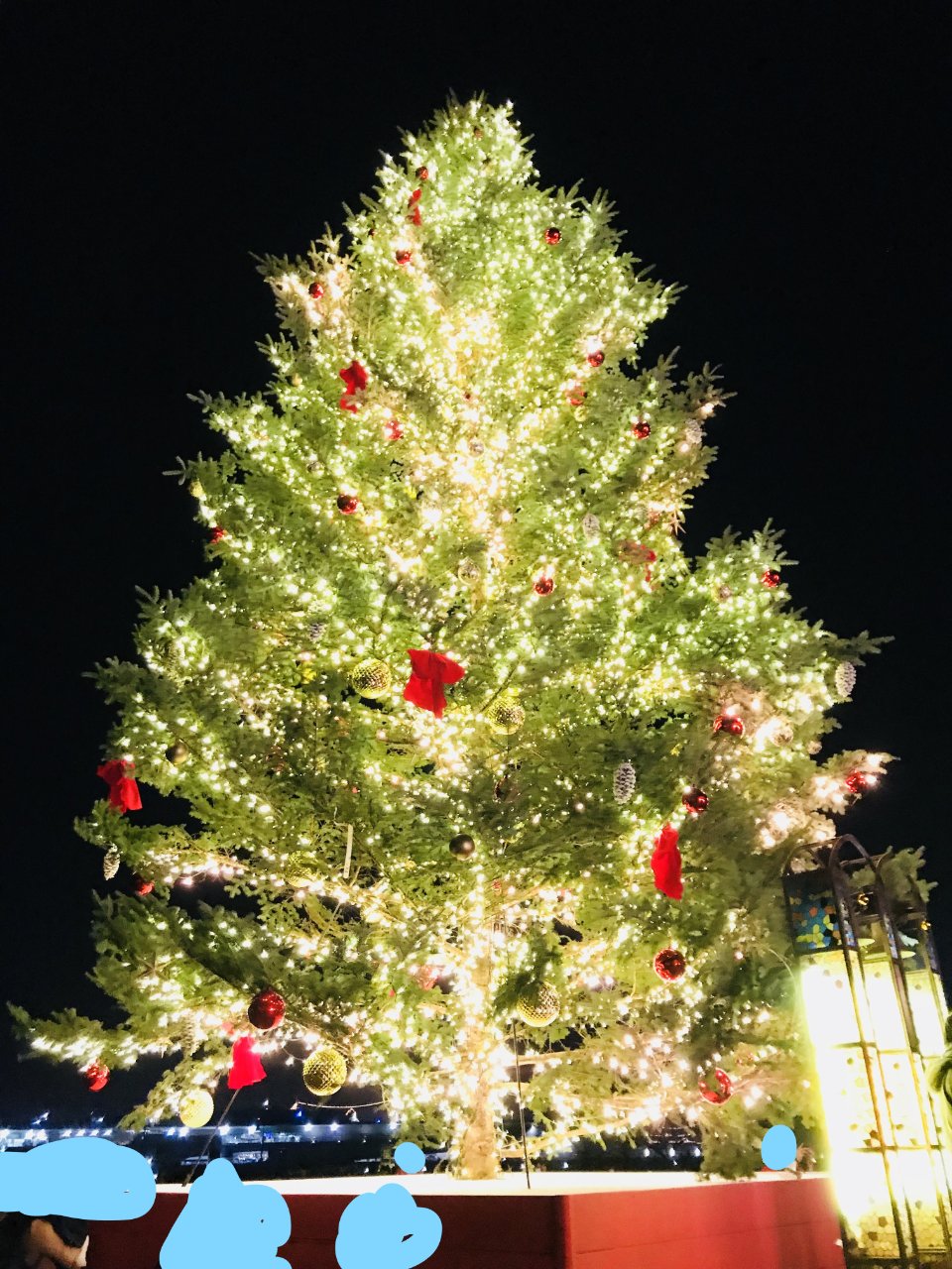クリスマスから逃げろ(っ'-')╮=͟͟͞͞��ﾌﾞｫﾝ