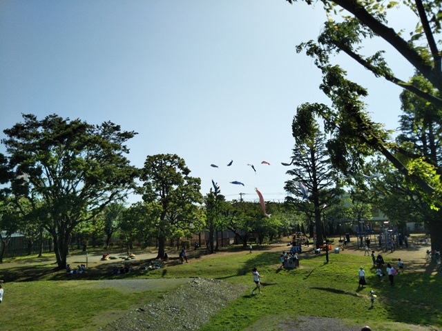 ２０１８．５．１３（日）　～玉川野毛町公園～