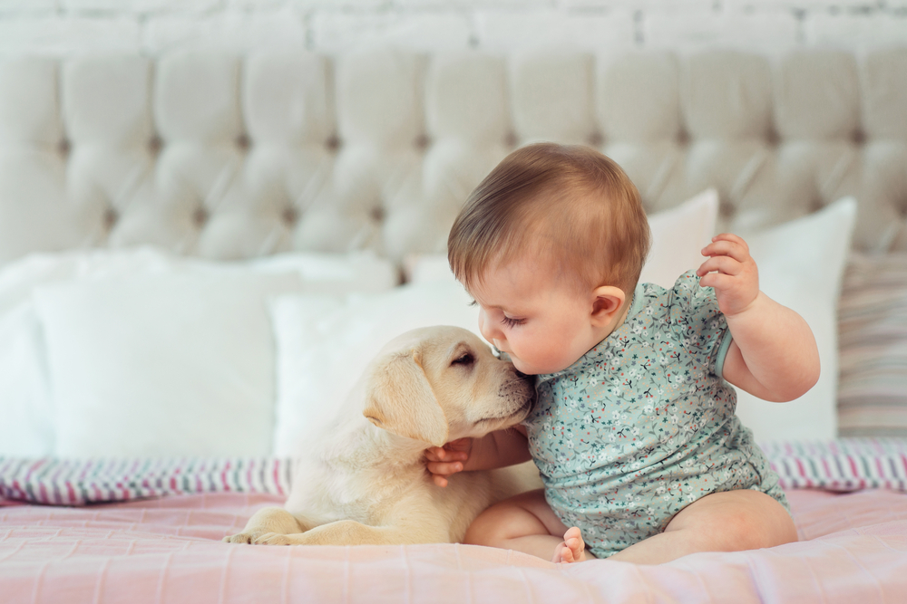 犬は飼い主に似る？