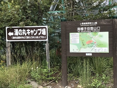山の危険なお花