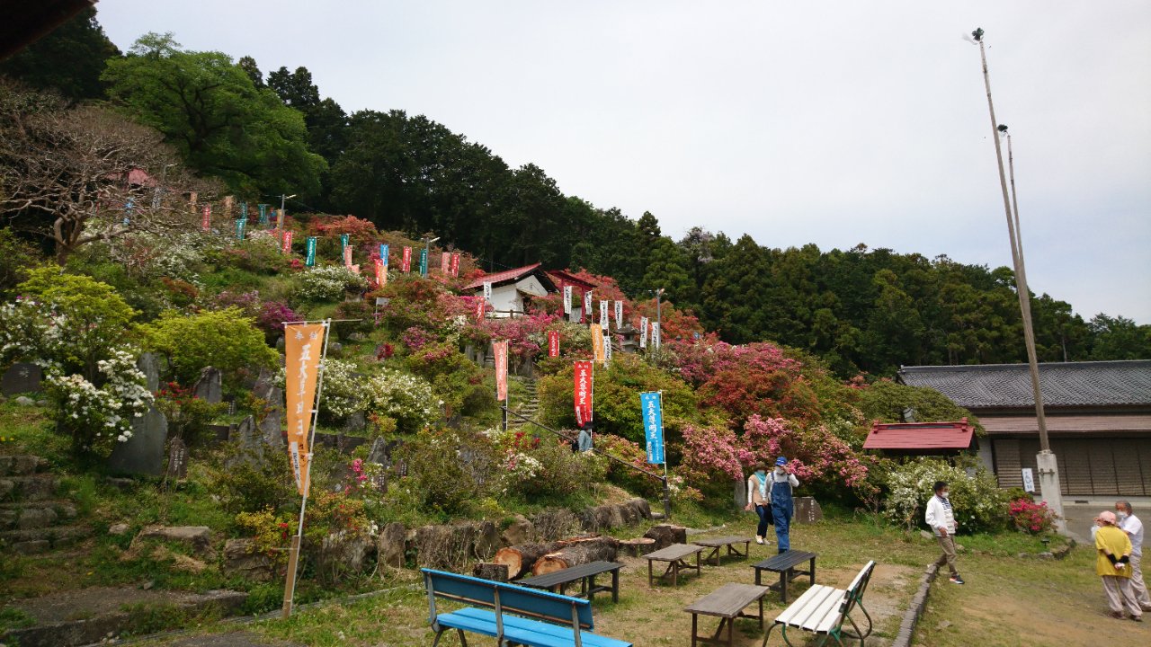 山に行きました！