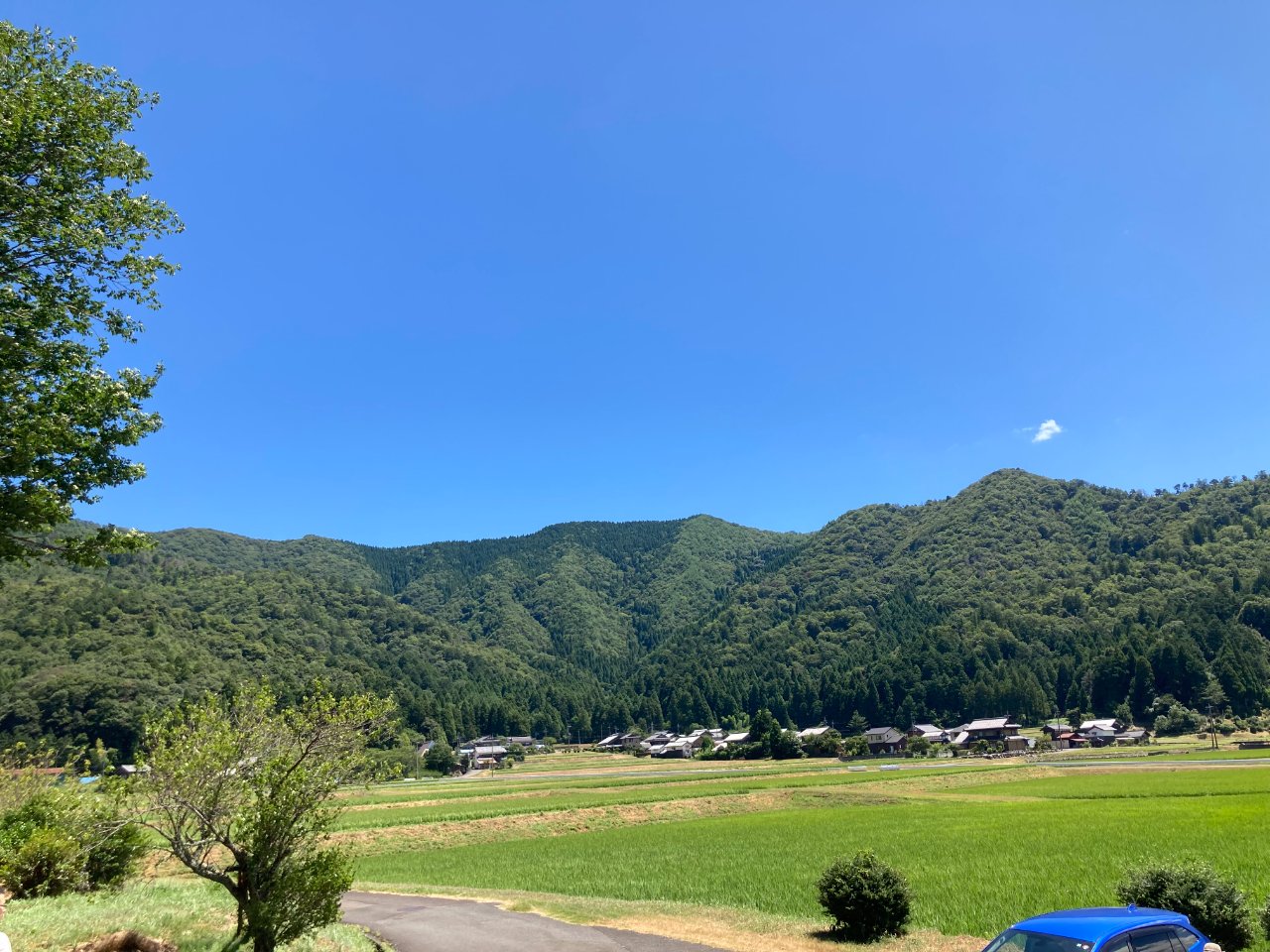 田舎の大自然！森・海（��・��）