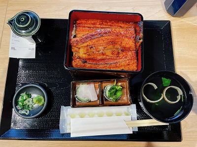鰻