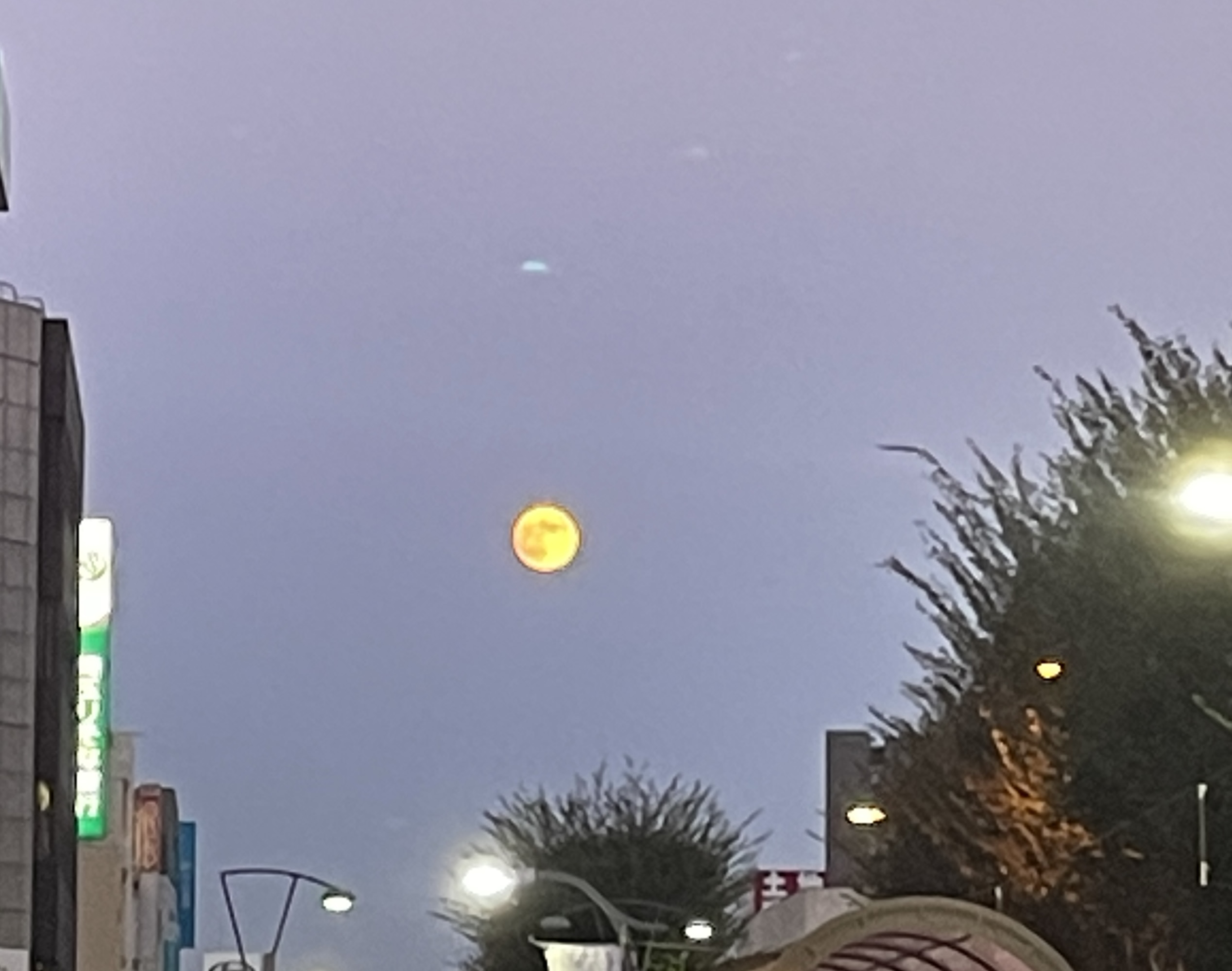 満月