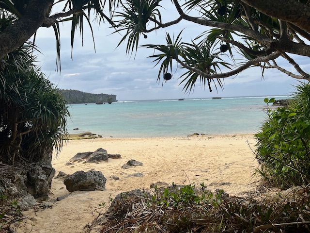 夏の終わり・・・・・