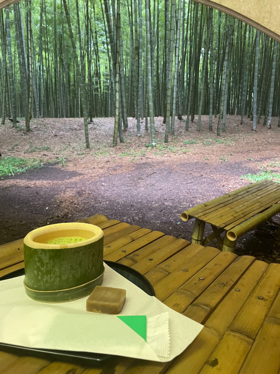 竹林