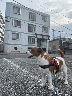 記念撮影