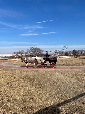 ポニーランド��