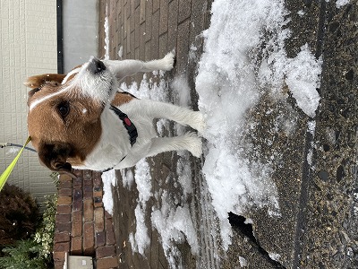 おこわくんの近況&#55356&#57218