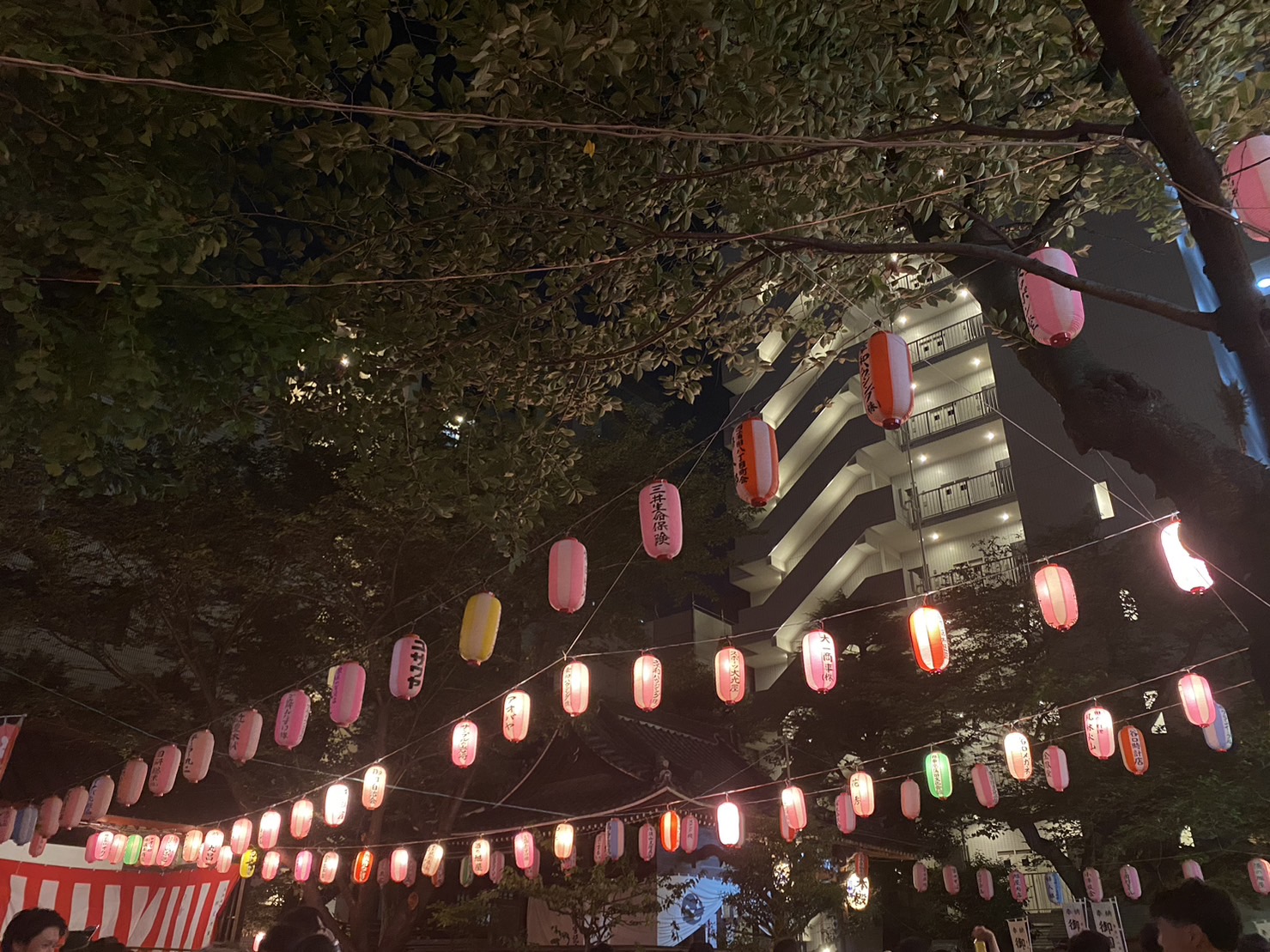 ４年ぶりです！