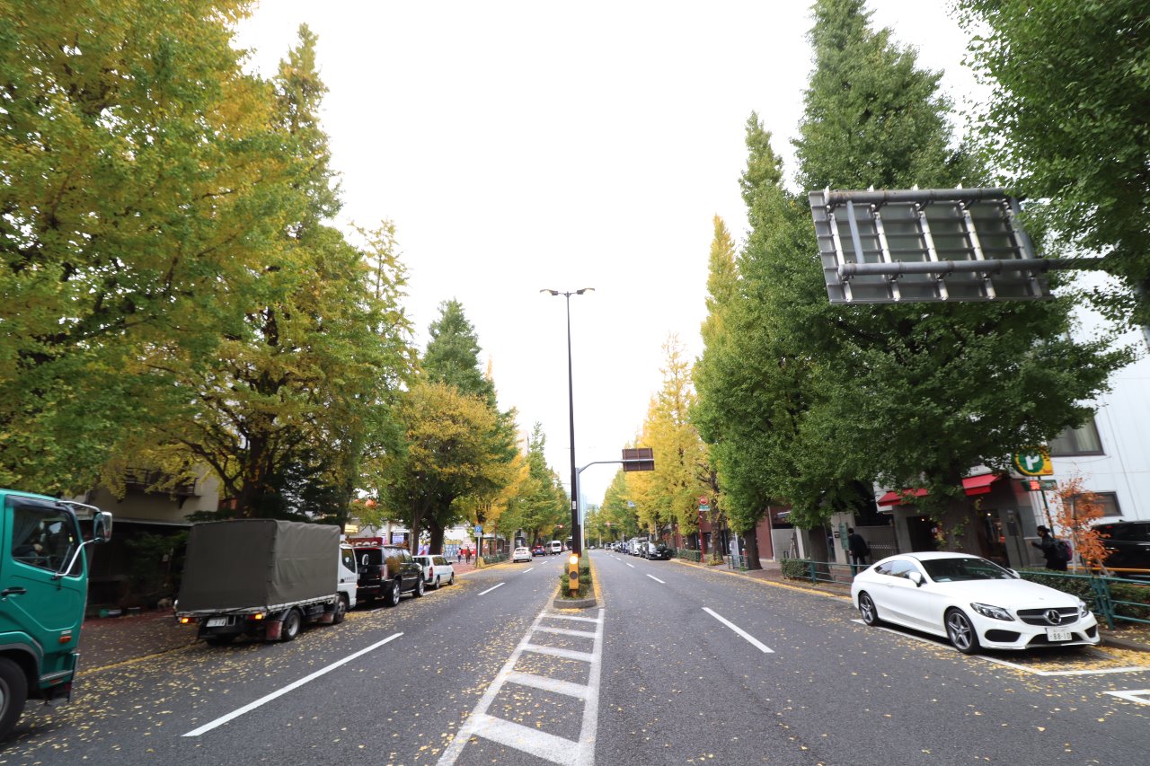 注目の福袋をピックアップ！ 「東京散歩」と プラチナ通り様 港区白金