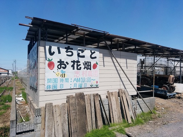 坂戸市でいちご狩りとお花が楽しめる 志村農園 坂戸 鶴ヶ島 毛呂山町の賃貸情報はクラリスへ 坂戸市でいちご狩りとお花が楽しめる 志村農園 坂戸 鶴ヶ島 毛呂山町の賃貸情報はクラリスへ