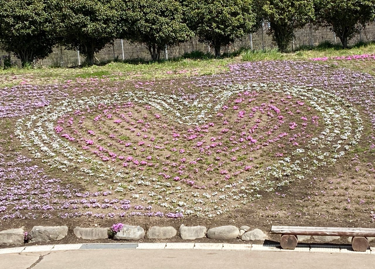 みさと芝桜公園へ 群馬県 高崎市のlixil不動産ショップ トウショウレックス