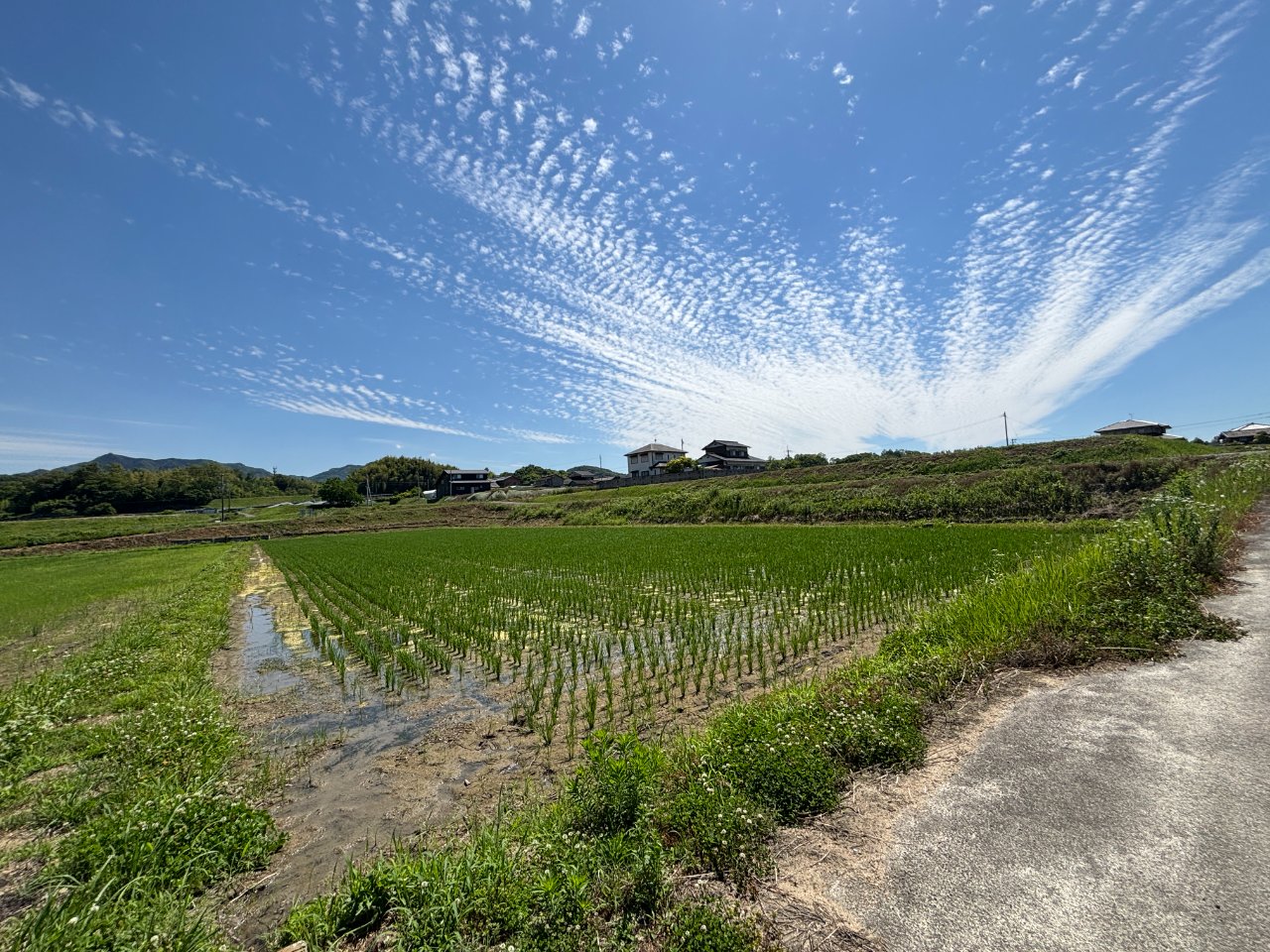 【新着物件】木田郡三木町田中売り土地　555坪　167万円